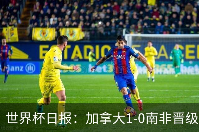 世界杯日报：加拿大1-0南非晋级创历史 韩国主帅洪明甫下课