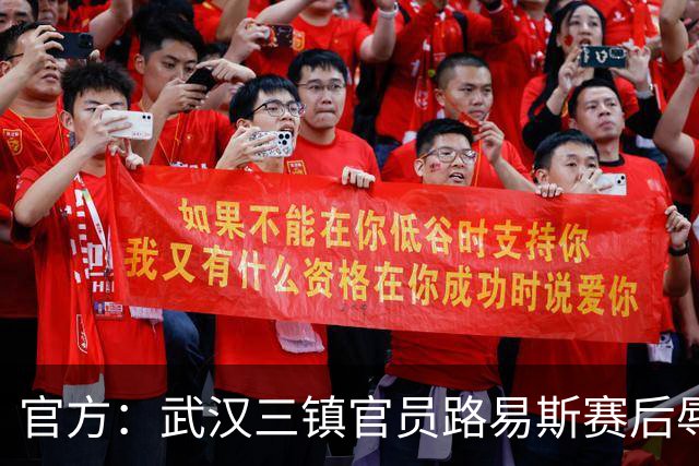 官方：武汉三镇官员路易斯赛后辱骂裁判员，被禁赛5场并罚款5万元